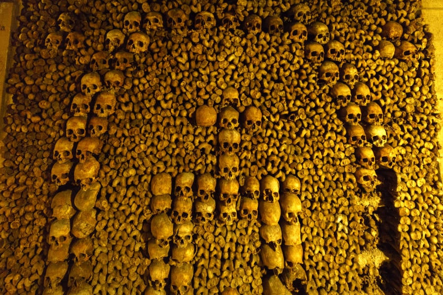 arranged-skulls